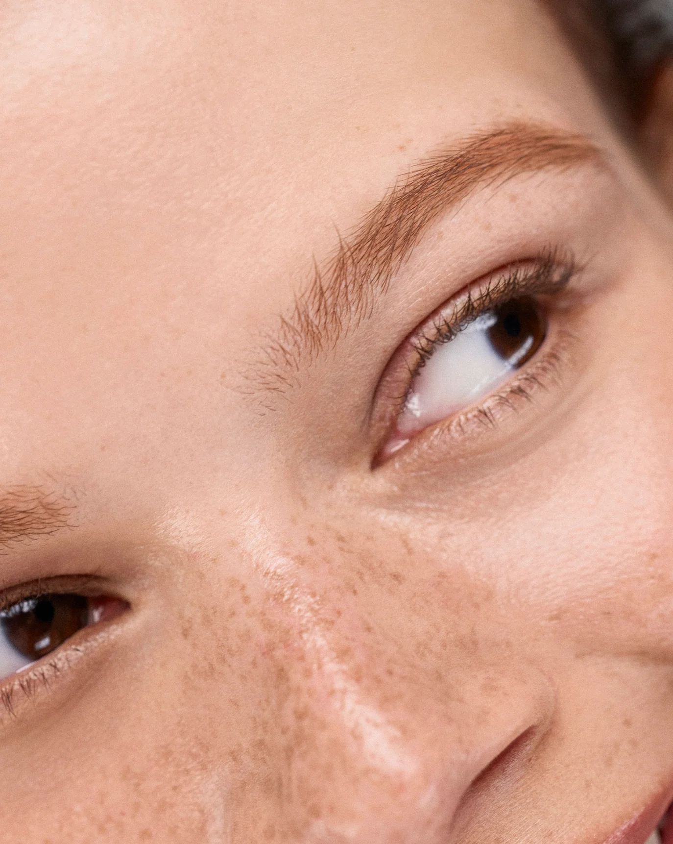 Boy Brow - Image 16